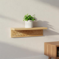 Wall Plant Shelf Multi Purpose Trophy and Award Display Shelf Space Saving Trophy and Award Display Rack for Living Room, Bedroom, Entrance