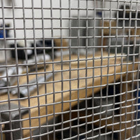 304 Stainless Steel Welded Wire Mesh for Balcony, Anti-Rat, Encrypted Household Net