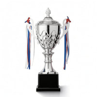 Polished Metal Award Trophy Shiny Trophy with Lid Classic Customizable for Sports Teams, Students, Kids