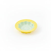 Ceramic Cat Dish with Stand Proof Raised Pet Feeder for Kittens