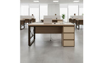 Wide Desktop Desk with Drawers and Shelves Low Formaldehyde Computer Desk with Drawers Industrial Design Home Office Study Table Combination Lock Drawer