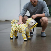 Full Body Dog Raincoat Easy to Clean Leash Hole Dog Raincoat Lightweight
