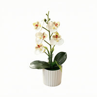 Artificial Flower Arrangement Plastic Potted Flower All Year Round Color