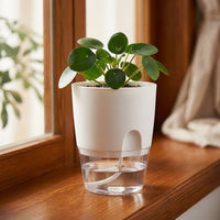 Plant Pots for House Plants with Self Watering System, Pack of 3 Indoor Plant Pot for Outdoor Plants, Transparent Water Storage Flower Pots