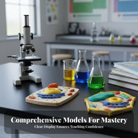 Hands-on Learning DIY Cell Model Kit STEM Toy Creature and Plant Cell Model Promotes Creativity for Students, Teens, Classroom