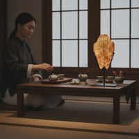 Turtle Shell on Stand Tabletop Oracle Bone Reproduction Aged for Study