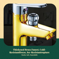Brass faucet with dual temp control
