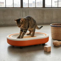 Cat Scratching Lounge with Wooden Frame Oval Pet Furniture Compact for Kittens