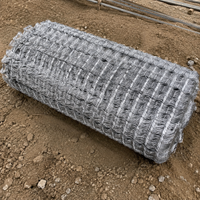 Wire Mesh Animal-proof Fence Wire Mesh Galvanized Low Carbon Steel Slope Reinforcement Construction Site Animal Enclosure Customizable