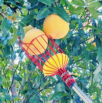 Fruit Picker Tool, High Altitude Harvesting, Detachable