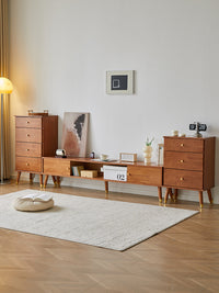 Solid Wood TV Cabinet and Coffee Table Combination