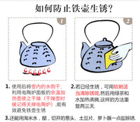 典工堂铁壶仿日本南部铸铁壶双铁喜上眉梢生铁壶 烧水壶 茶具茶壶