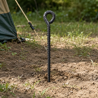 ground stakes