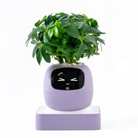 IVY Plant Pet Robot Smart Flower Pot Desktop AI Toy