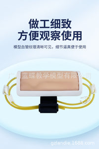 Forearm Venipuncture Training Model for Injection, Blood Transfusion, and Blood Draw