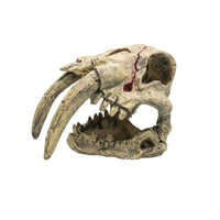 Skull Hideout Weathered Hiding Place Natural-Looking for Terrarium, Reptiles