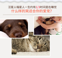 新款户外防雨防水狗窝室外宠物房子窝狗窝猫窝宠物用品厂家批发