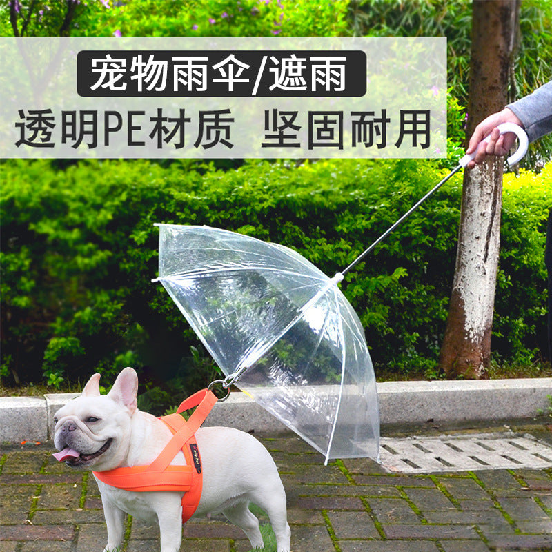Pet Umbrella with Leash for Small Dogs