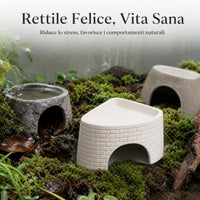 Reptile Hideout and Humidifying Cave for Lizards, Spiders, and Snakes