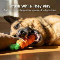 Pet Carrot Rubber Chew Toy for Dogs