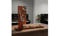 Handmade Piano Action Model Beginner Friendly Educational Tool Self Study for Training Room