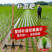 水稻补苗神器新款秧苗神器锰钢材质加厚免弯腰水稻移苗神器多齿耙