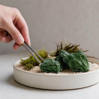 Miniature Irregular Mossy Rock Model for Dioramas and Micro Landscapes
