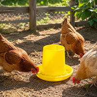 Poultry Feeder Bucket Yellow Chicken Feeder for Chicks, Duck, Quail, Hen, Smallholding