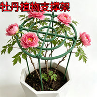 花支架月季花架植物盆室内花卉支撑杆园艺绿萝支架爬藤架客厅绿植