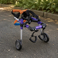 Dog Wheelchair Lightweight Rear Leg Mobility Cart Adjustable for Rehabilitation
