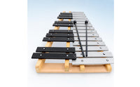 Xylophone with Mallet 25-Note Xylophones with Bag Aluminum Glockenspiel for Beginners, Students, Classroom, Home