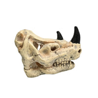 Skull Hideout Weathered Hiding Place Natural-Looking for Terrarium, Reptiles