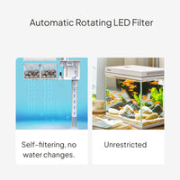 Desktop Clear Glass Aquarium with Circulating Filtration