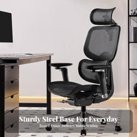Adjustable Ergonomic Chair Support for Study Room, Remote Workers, Adults