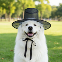 Mesh Top Hat Breathable Mesh Hat with Chin Tie Airy for Cosplayers, Performers