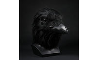 Black Crow Head Mask  Realistic  Crow Face Covering Adult Sized for Cosplayers, Halloween, Theater