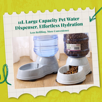 Large auto pet water dispenser