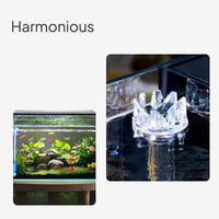 Desktop Glass Aquarium with Side Filter and LED Lighting