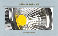 COB Par30 LED Spotlight E27 Base