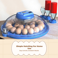 Egg incubator with auto turner