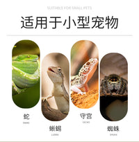 爬虫饲养箱装饰组合摆件沙漠场景微场景仿真植物仙人掌模型无刺耐