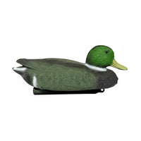Realistic Duck Decoy Floats on Water Hunting Duck Waterproof Buoyant Mallard Decoy for Hunters