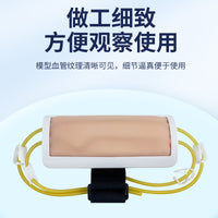 Forearm Venipuncture Training Model for Injection, Blood Transfusion, and Blood Draw