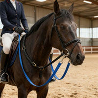 Woven Strapping Lead with Snap Hooks Flat Horse Lead Rope with Snap Hook Flexible Horse Training Rope Sturdy for Riders, Groundwork, Stables
