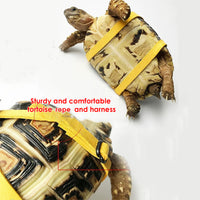 Adjustable Turtle Harness and Mini Skateboard Set