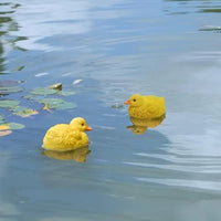 可爱仿真小鸭子水池鱼缸户外池塘装饰浮水小黄鸭摆件水上漂浮摆件