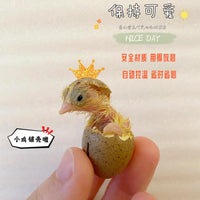 Small Smart Egg Incubator for Quail, Chicken, Bird, Duck, and Parrot