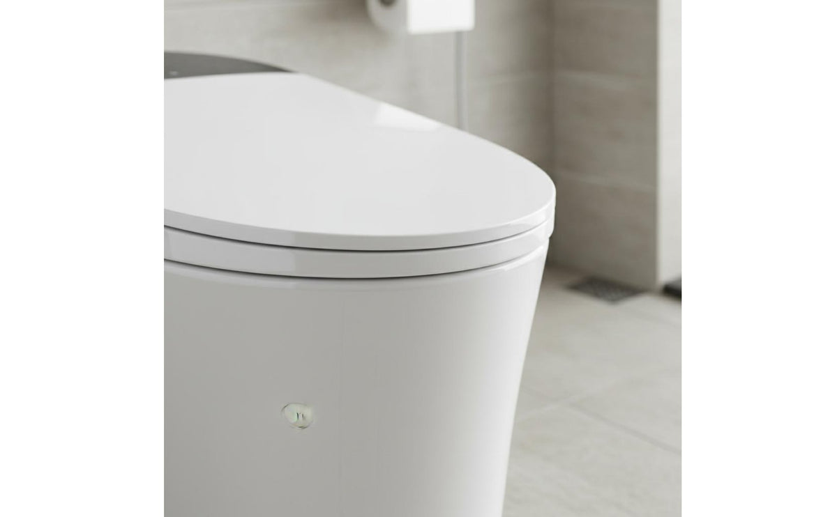 Auto Flush Smart Toilet Self-Cleaning Nozzle Electronic Bidet Toilet Massage Wash Bathroom Fixture Wireless Controller Control for Elderly