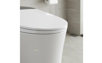 Auto Flush Smart Toilet Self-Cleaning Nozzle Electronic Bidet Toilet Massage Wash Bathroom Fixture Wireless Controller Control for Elderly