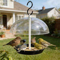 Hanging Bird Feeder Weather-Resistant Clear Bird Feeder Detachable Parts Outdoor Decor for Garden, Patio